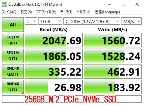 256GB M.2 PCIe NVMe SSD